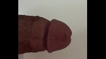 Porn Contos