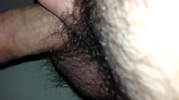 Assnipon