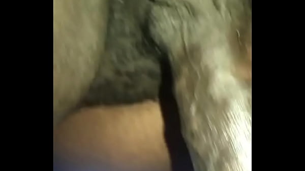 Blonde Sexy Anal