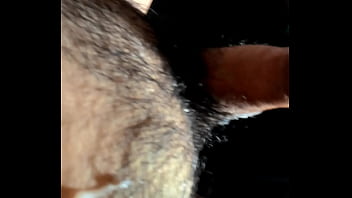 Pup Marya Taylor Ww