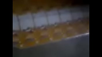 Bbb Dinoi
