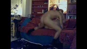 Butt Two