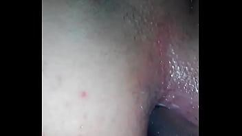 Katsuni Swallows
