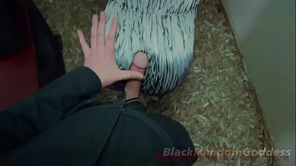 Asian Creamed By Big Black Cock