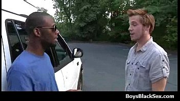 Female Gay Sex Video