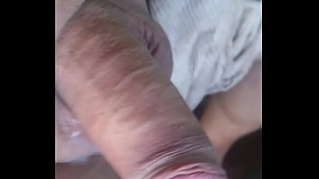 Female Animal S