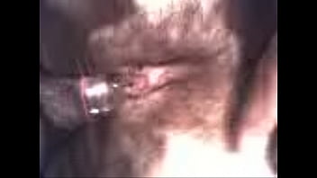 Prandi Love Sex Video Hd