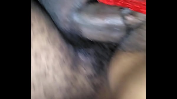 Xxxporn Seal Video