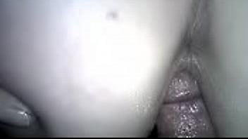 Elephant Video Grli
