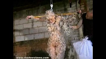 Xxx Video Siliping Fok