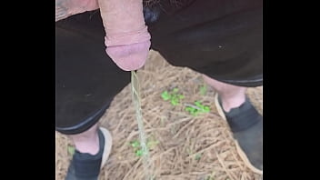 Gay Sex Of Thai