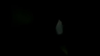 Kasmir Sex Mms