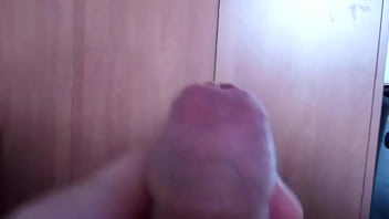 Wildstalion Chaturbate
