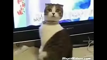 Kinmy Kush Fuck