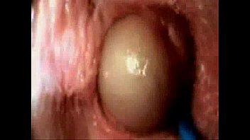 Romantic Jav Sex