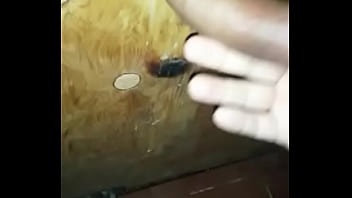 Ak Vej Pel Bar O