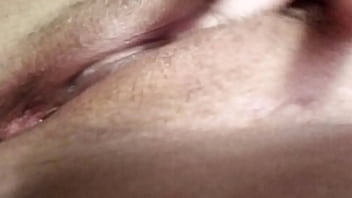 Tube Porn Fatt