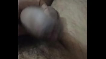 Beegxxxxxxb
