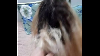 Animoporonoxx