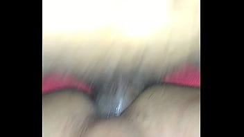 Xviplporj