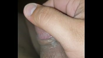 Indonesian Forest