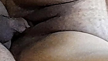 Chakka Xxx Video