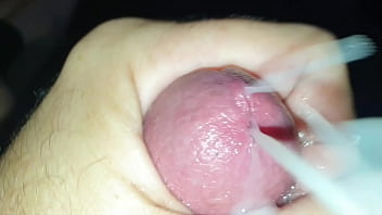 Brother Porno