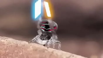 Tamil S Son Porn