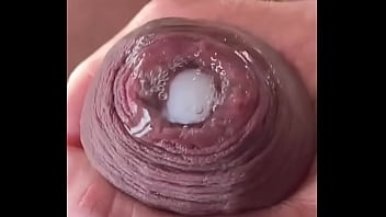 Kompoz Seex Video