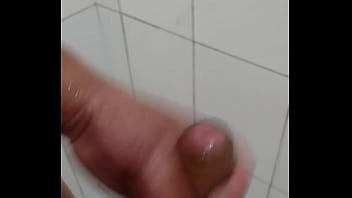 2010 C A Nh E
