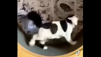 Indian Aunt Crying