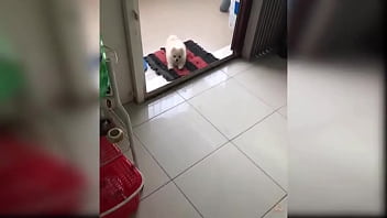Girl Having Sex While Massage