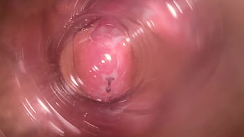Sunny Leone Fucked Xxx Pron Hub