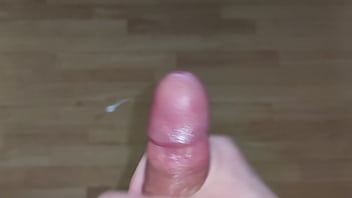 Pov Bdms