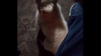 Real Masturbating Together