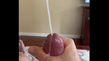 Horse Mp4